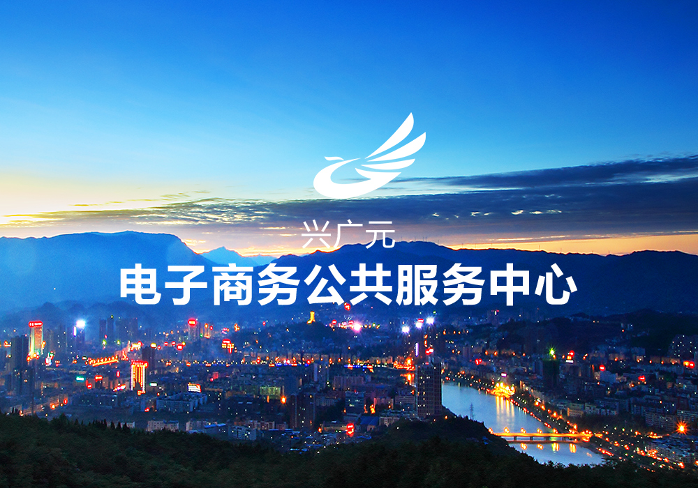 興廣元直營商城項目案例