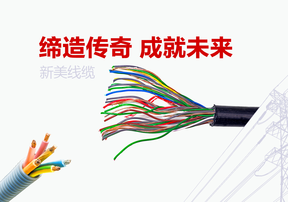 成都新美線纜有限公司項目案例
